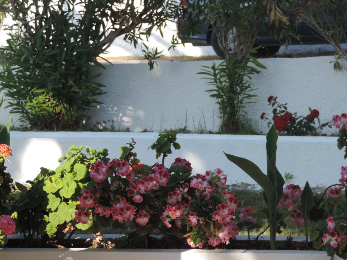 Apartments Peli-Maria Agios Stefanos Avliotes  Екстер'єр фото